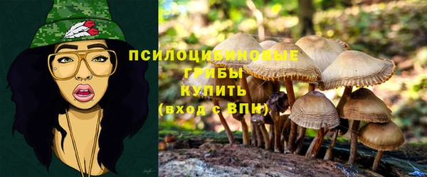 mix Горно-Алтайск