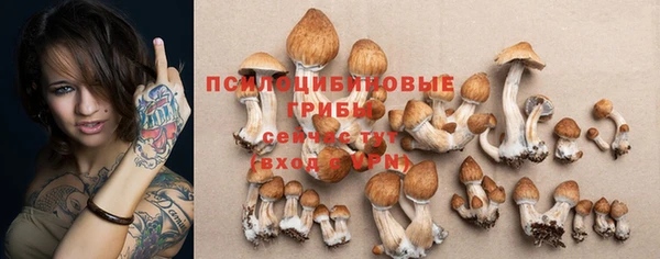 mdpv Горнозаводск