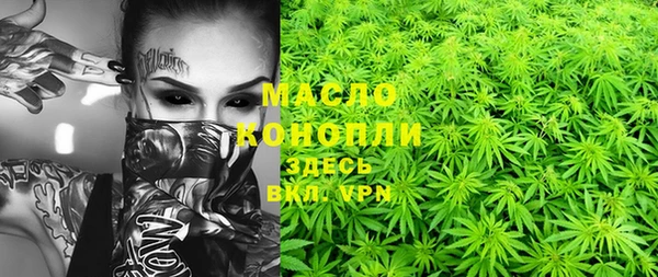дмт Горняк
