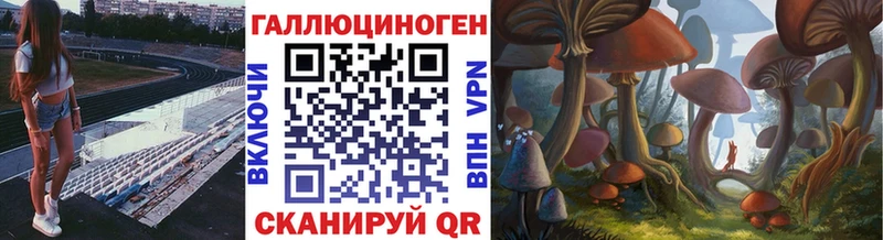 Галлюциногенные грибы мицелий  Красный Холм 